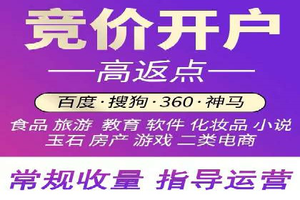 抖音信息流广告代理的五大成功投放案例